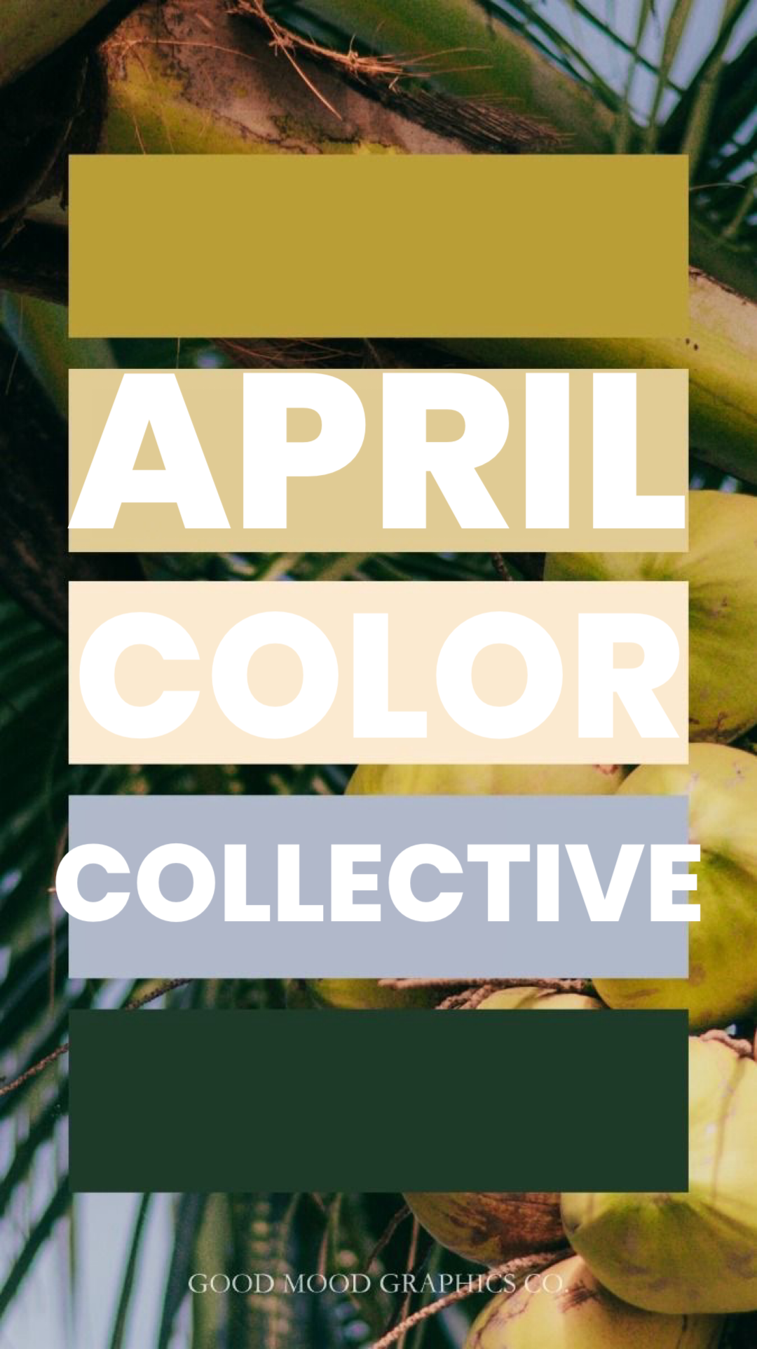SOCK SET - The Color Collective