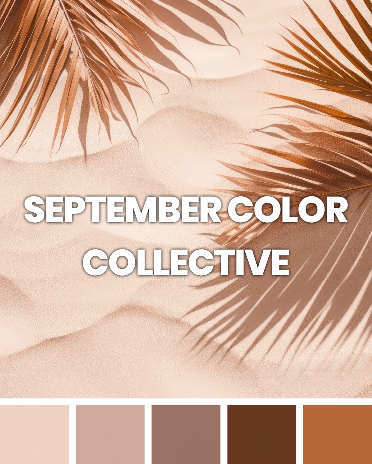 Mini Set - The Color Collective
